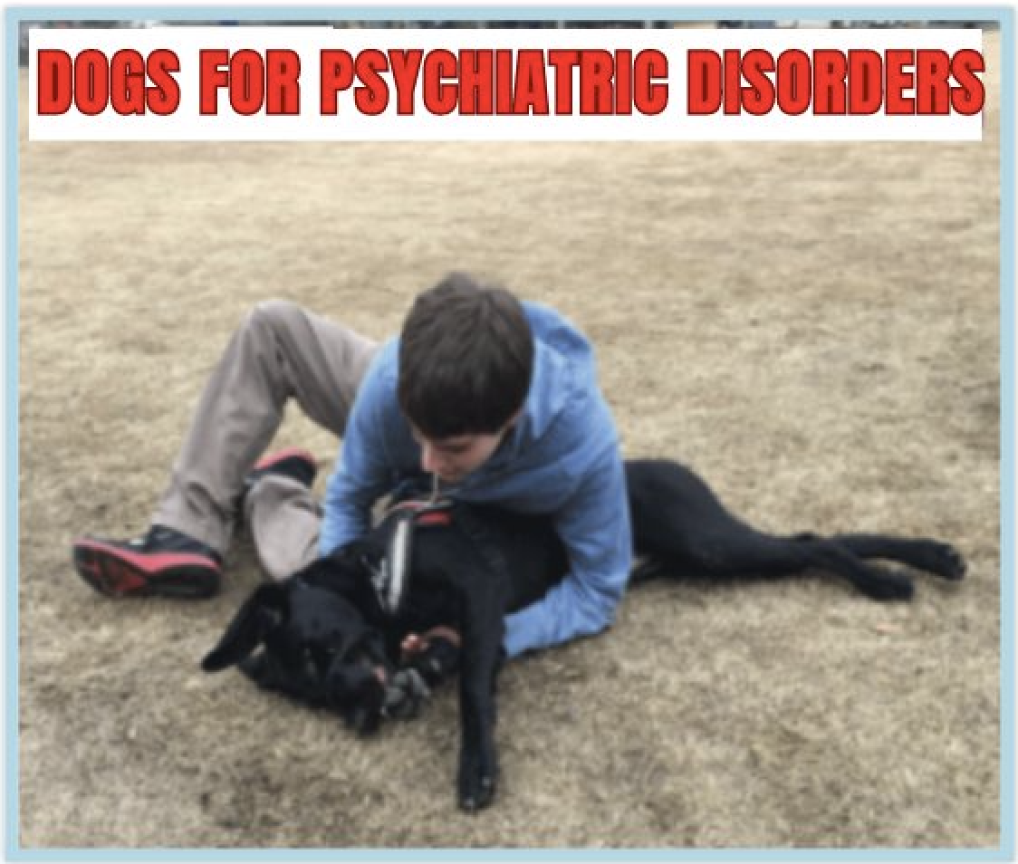 Dogs for Psychiatric Disorders